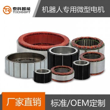 深圳泰科智能機(jī)器人關(guān)節(jié)無刷直流伺