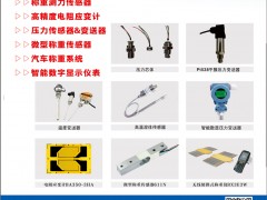 廣東華蘭海電測(cè)入刊上海世環(huán)會(huì)特刊《儀表與測(cè)量控制》系列客戶(hù)報(bào)道40