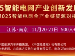 11月南京，這幾位重磅嘉賓將會出席2025智能電網大會！