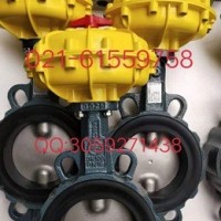 原裝正品 德國依博羅EBRO氣動(dòng)扇形蝶閥  價(jià)格優(yōu)惠